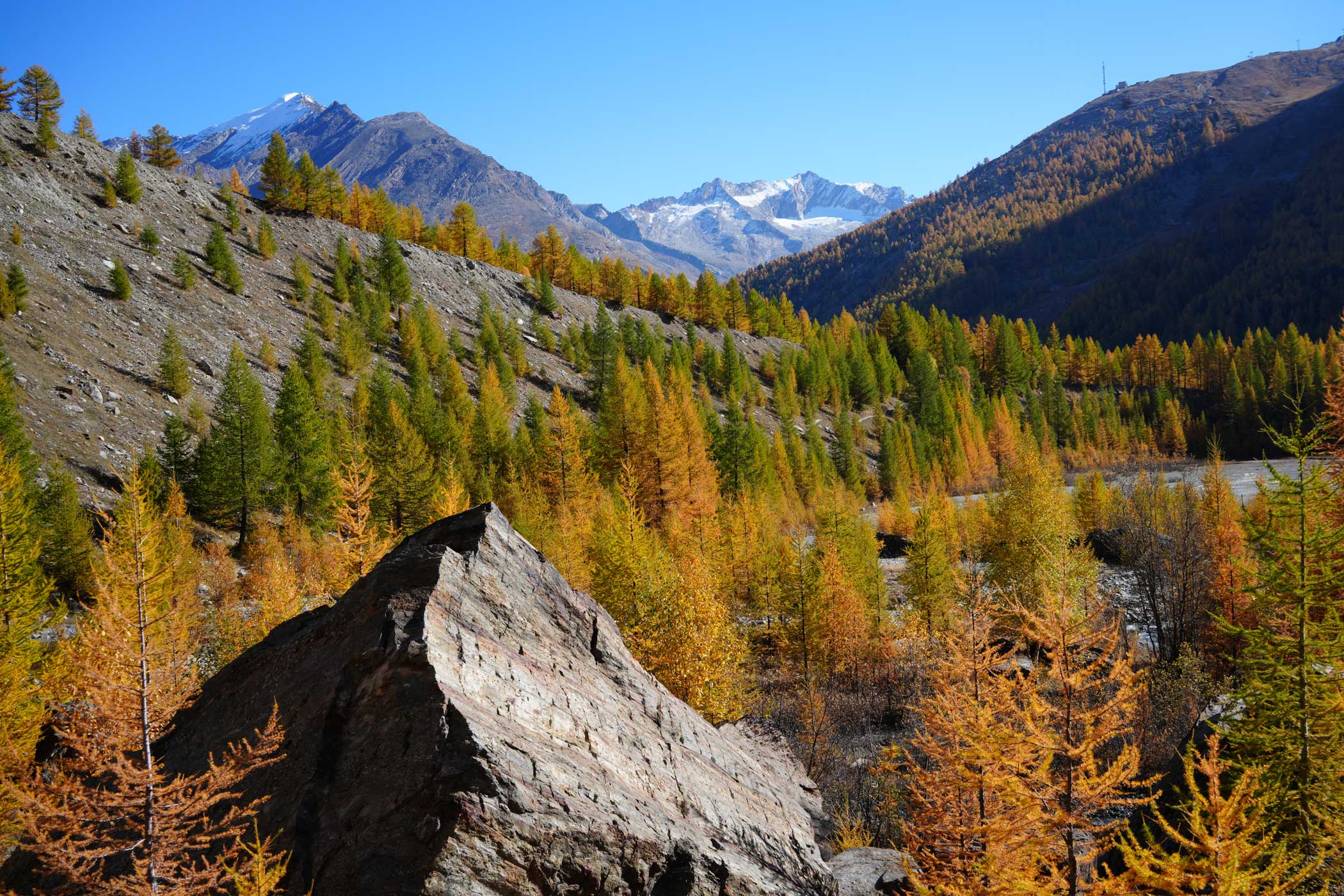 Unsere Grunds&auml;tze